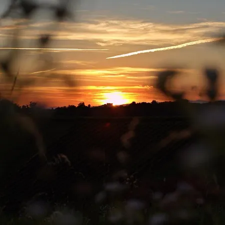 Гостевой дом Lammerhof