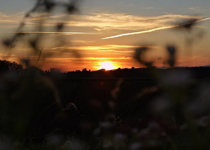 Affittacamere Lammerhof