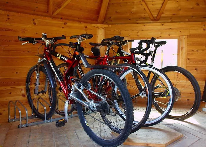 게스트하우스 Lammerhof Unterlamm (Styria)